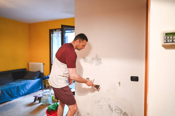 Best Emergency Mold Remediation in South Valley Stream, NY